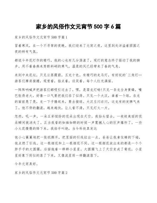 家乡的风俗作文元宵节500字6篇