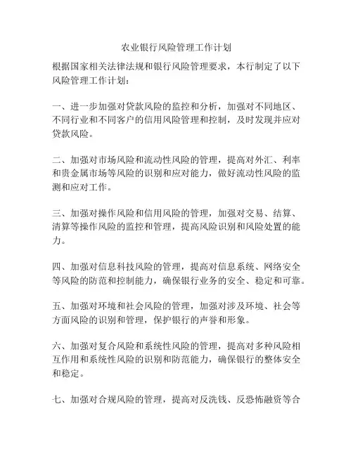 农业银行风险管理工作计划