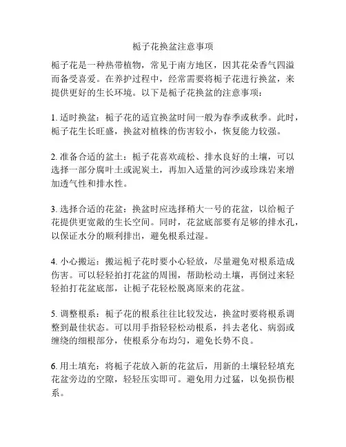 栀子花换盆注意事项