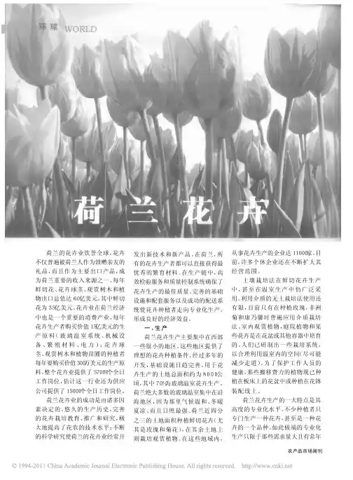 荷兰花卉