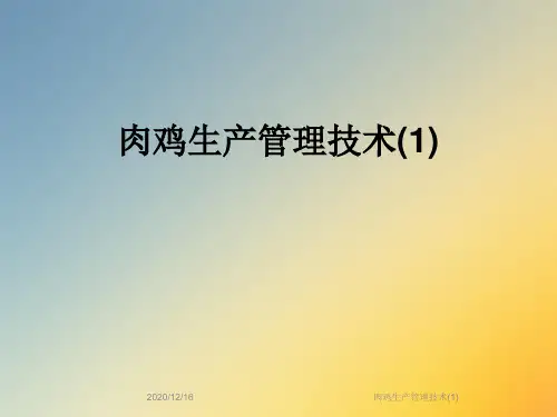 肉鸡生产管理技术(1)