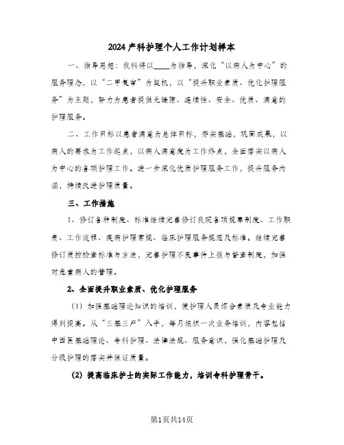 2024产科护理个人工作计划样本（五篇）