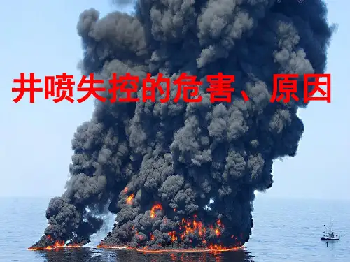 井喷失控得危害及原因  ppt课件
