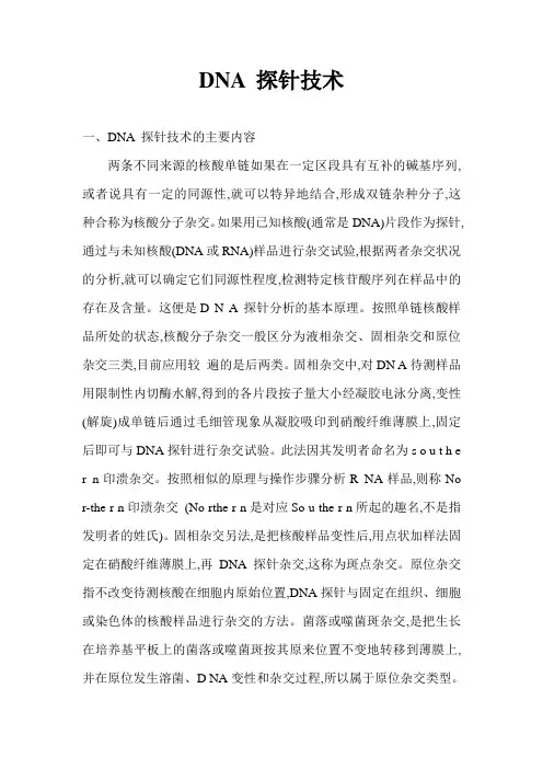 DNA 探针技术