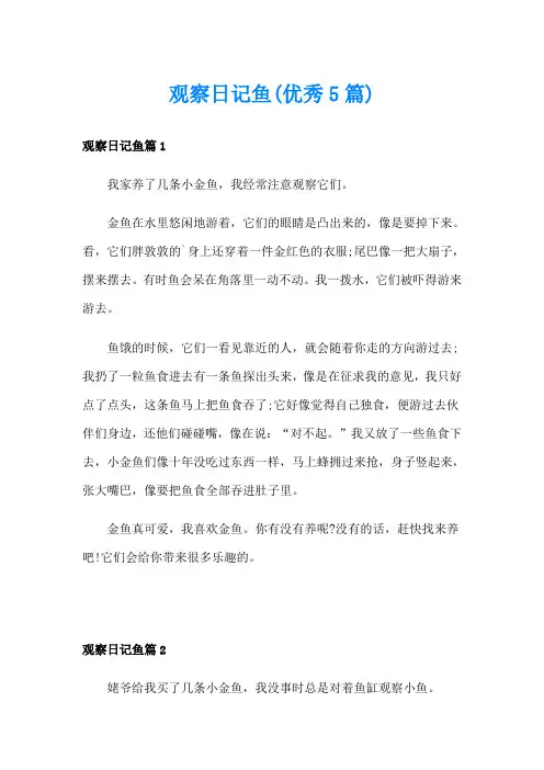 观察日记鱼(优秀5篇)