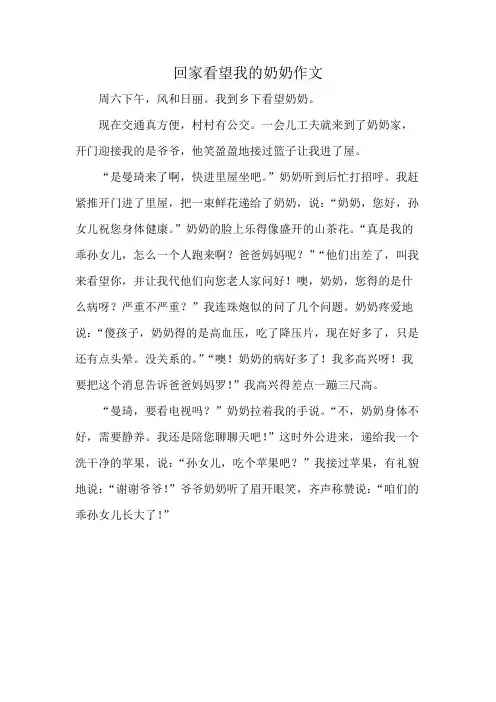 回家看望我的奶奶作文