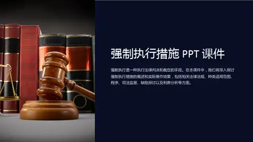 《强制执行措施》课件