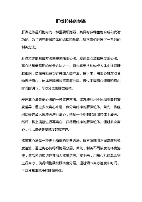 肝微粒体的制备