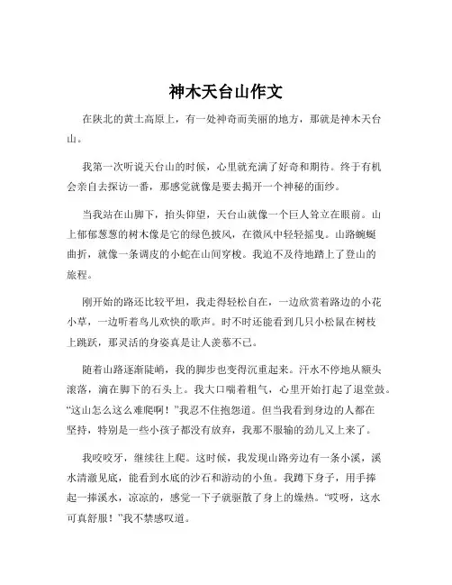 神木天台山作文