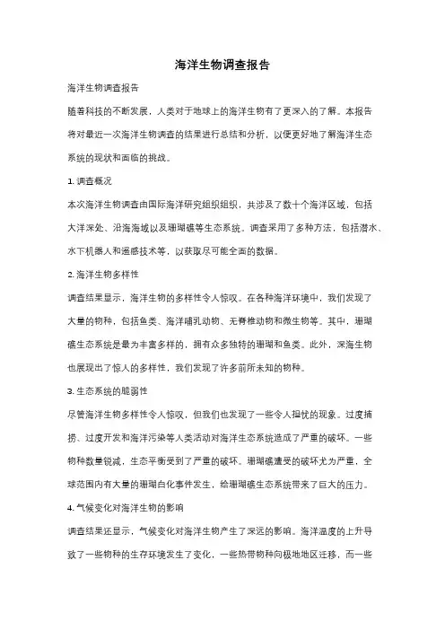 海洋生物调查报告