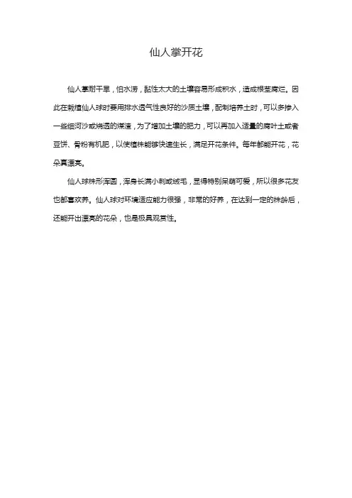仙人掌开花