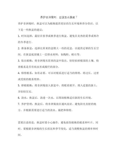 养护非洲菊时,应该怎么换盆？