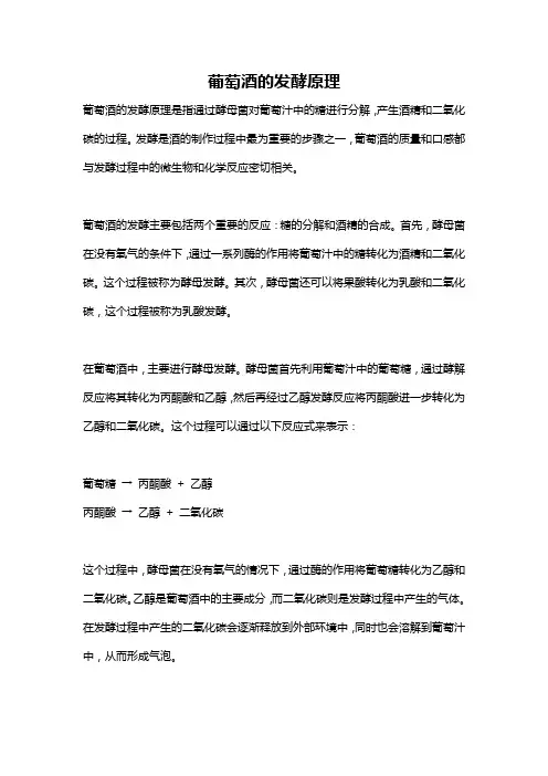 葡萄酒的发酵原理
