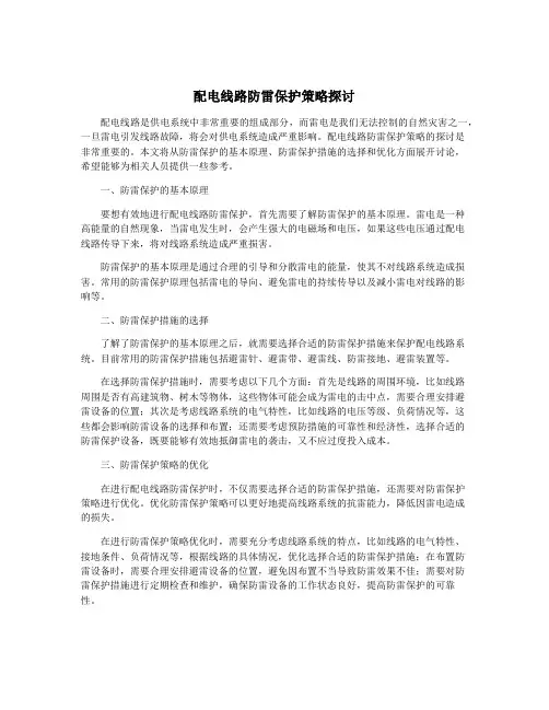 配电线路防雷保护策略探讨