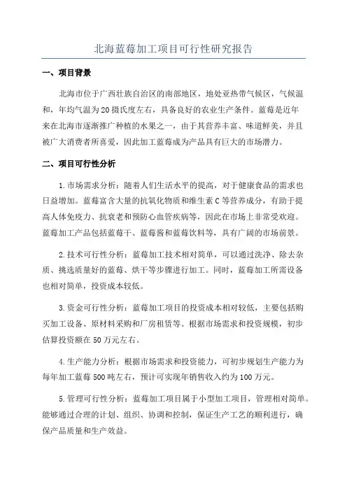北海蓝莓加工项目可行性研究报告