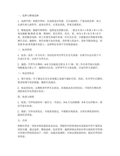 种植竹笋的管理技术