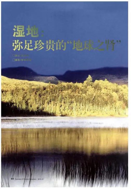 湿地：弥足珍贵的“地球之肾”