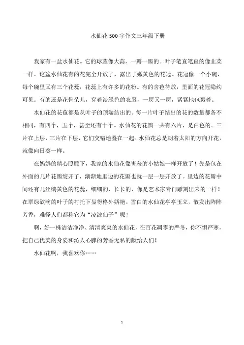 水仙花500字作文三年级下册