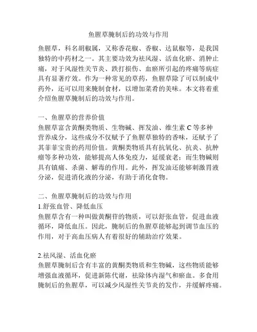 鱼腥草腌制后的功效与作用