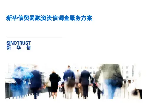 新华信资信调查方案共16页