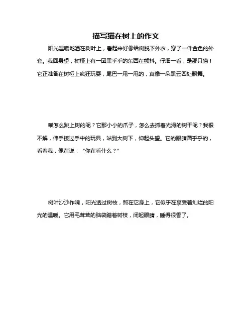 描写猫在树上的作文