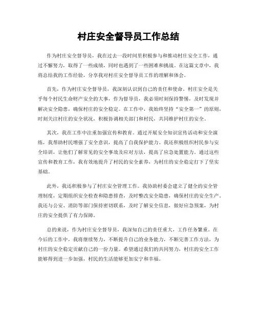 村庄安全督导员工作总结