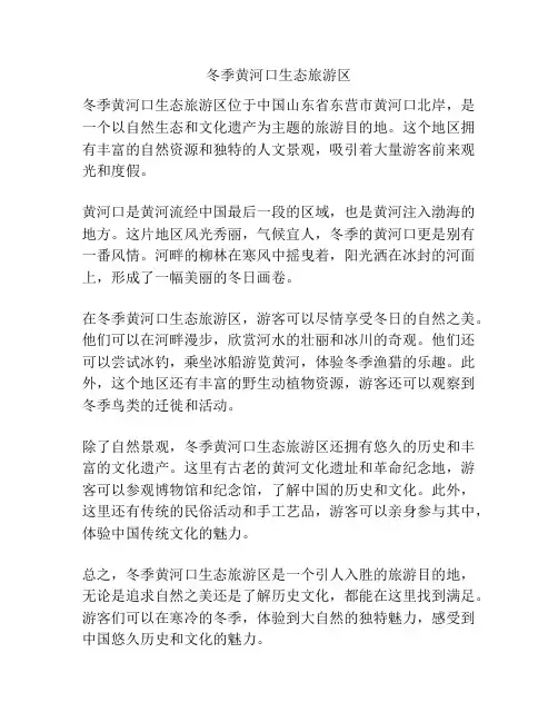 冬季黄河口生态旅游区