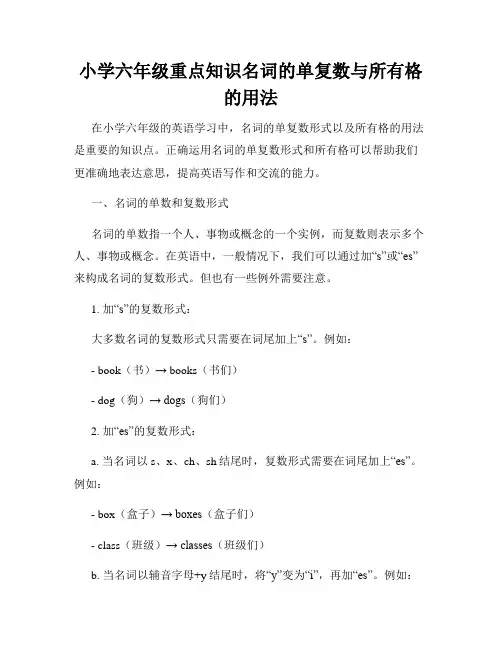 小学六年级重点知识名词的单复数与所有格的用法