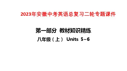 2023年安徽中考英语总复习二轮专题课件：八年级(上) Units 5~6
