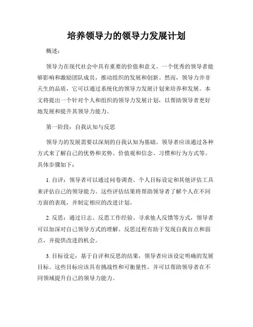 培养领导力的领导力发展计划