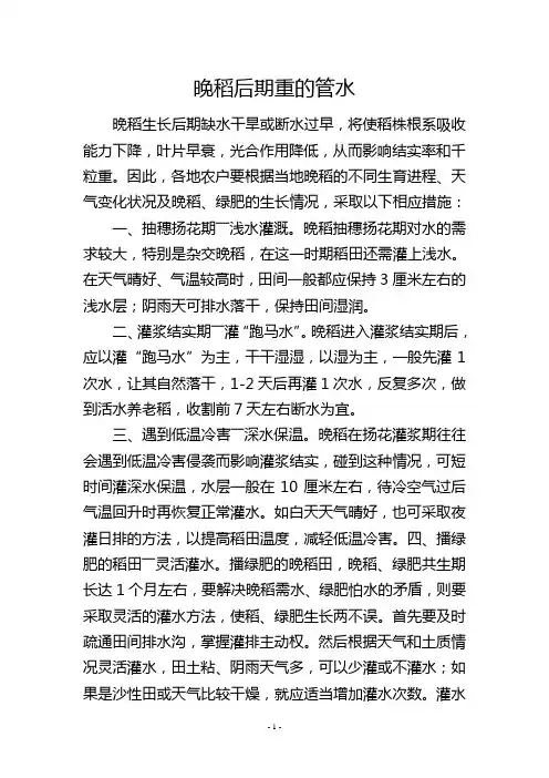 晚稻后期重的管水