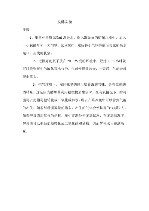 发酵实验创新