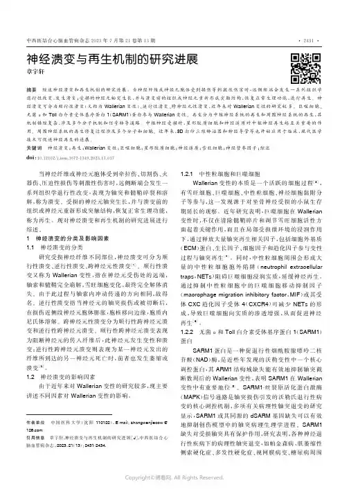 神经溃变与再生机制的研究进展