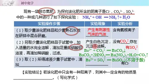 人教版初中化学九年级下册 典题精讲系列11.2氮肥(课件)