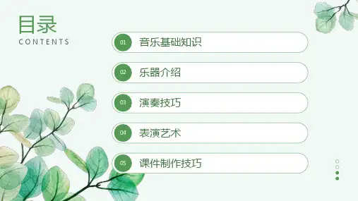 音乐与乐器演奏表演课件