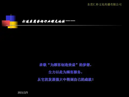 新公司筹建运营计划书 ppt课件