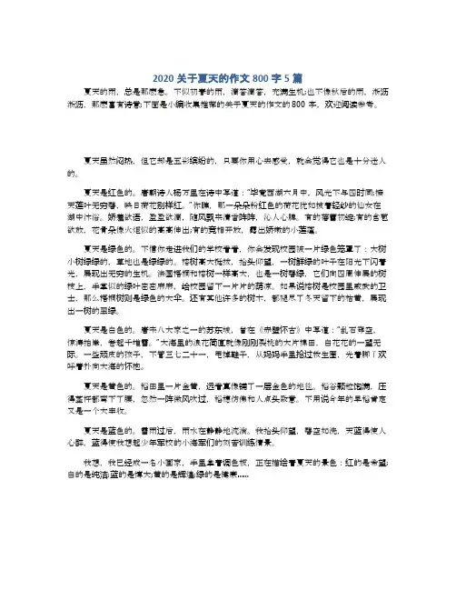 2020关于夏天的作文800字5篇