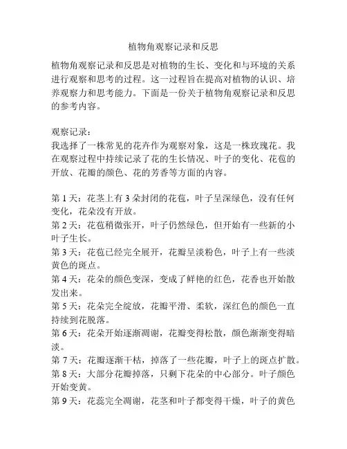 植物角观察记录和反思