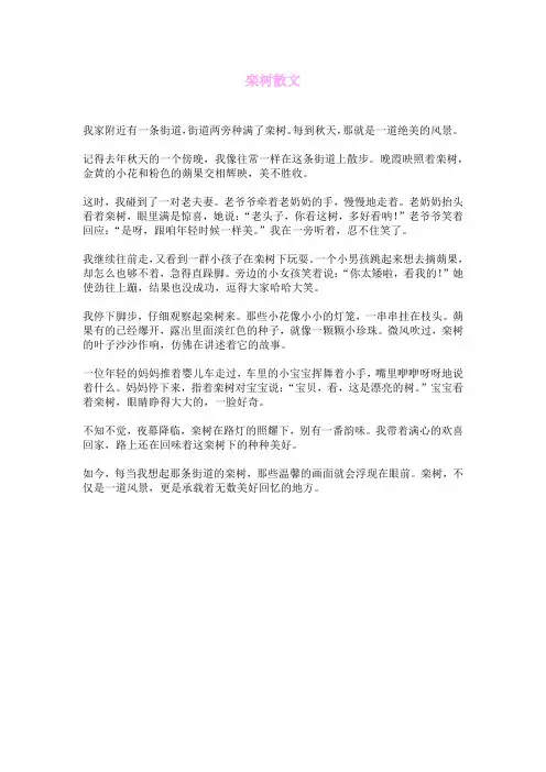 栾树 散文