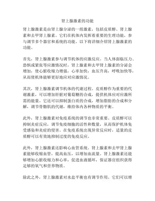肾上腺激素的功能