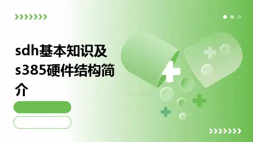 sdh基本知识及s385硬件结构简介