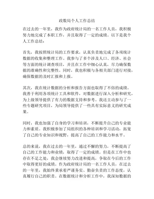政数局个人工作总结