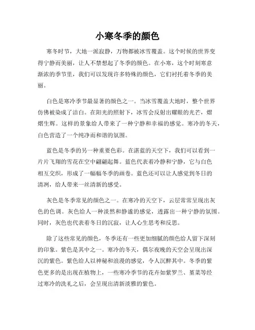 小寒冬季的颜色