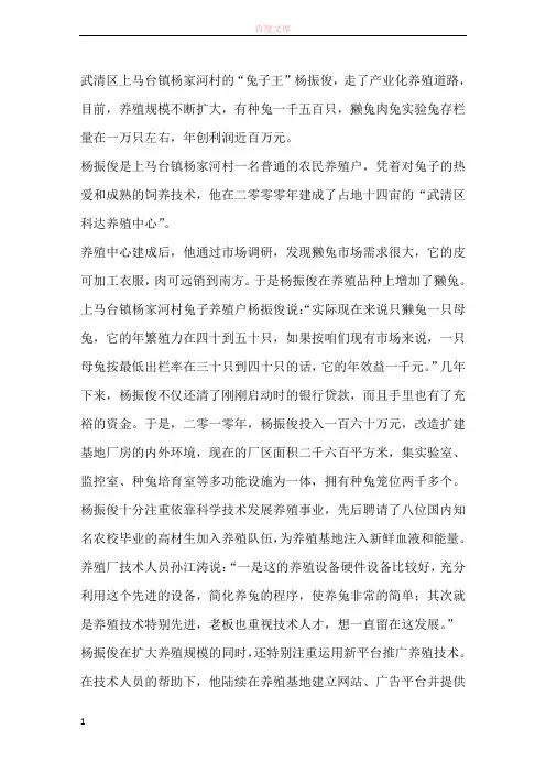 “兔子王”杨振俊走产业化养殖路年创利百万