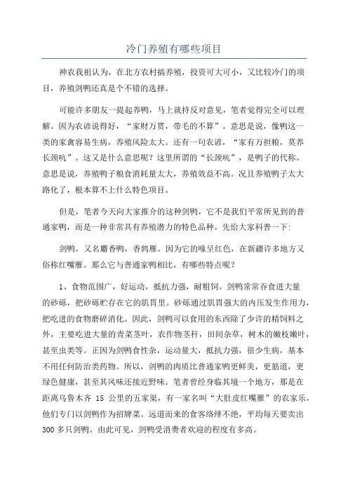 冷门养殖有哪些项目