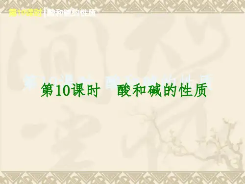 鲁教全国版2014中考一轮复习课件：第10课时 酸和碱的性质(查漏补缺+专题专练,29ppt)