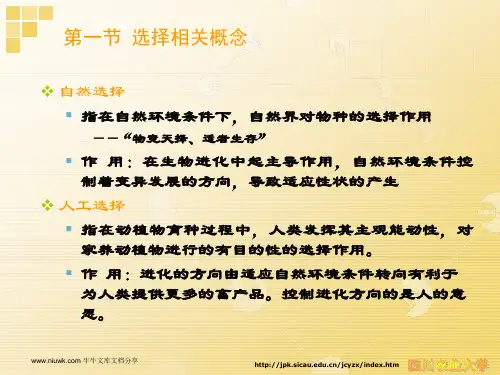 选择的原理与方法