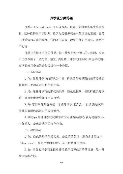月季花分类等级