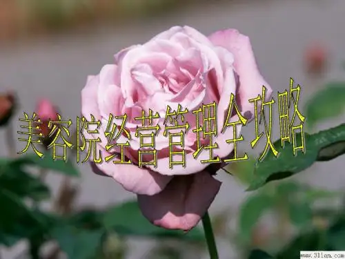 美容院店务管理课程 PPT课件