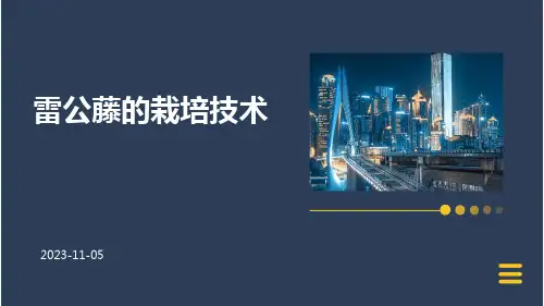 雷公藤的栽培技术